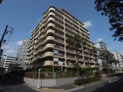 小島第３スカイハイツ　小島第三スカイハイツの外観