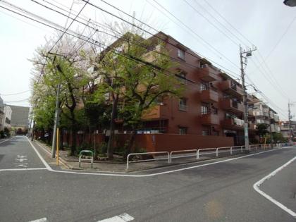 ライオンズマンション浮間の外観