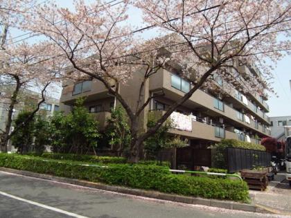 ルイシャトレ浮間公園の外観