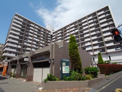 小松川グリーンタウンリバーウエストD館の外観