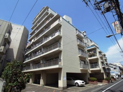 平井パークハイツの外観