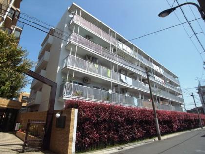 本蓮沼ビューハイツの外観