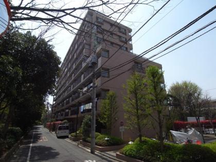 ナイスステージ新小岩親水公園の外観