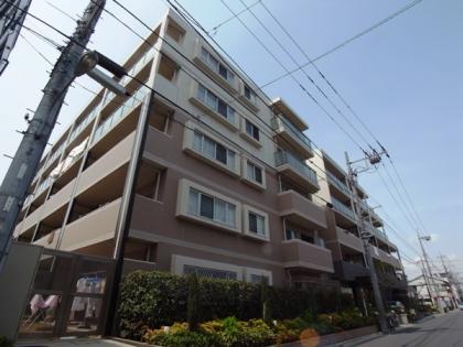 グローベルガーデン新小岩親水公園の外観