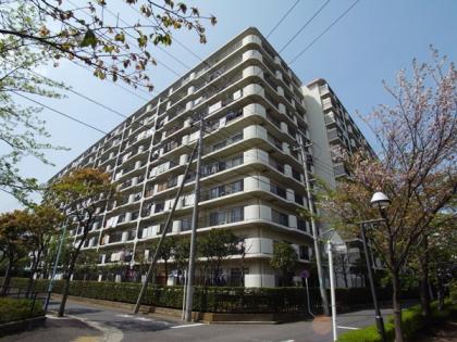 南篠崎スカイハイツA棟の外観