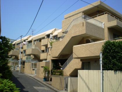 ニューハイツ白山の外観