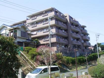 ナイスアーバン上星川の画像1枚目（外観、エントランス、前面の通り等）