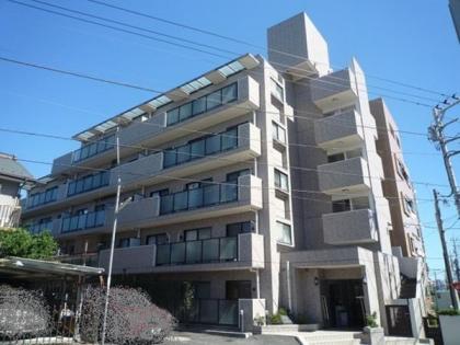 ラフィネ瀬谷の画像1枚目（外観、エントランス、前面の通り等）