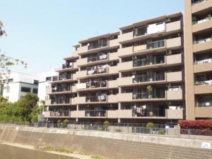 コスモ横浜星川