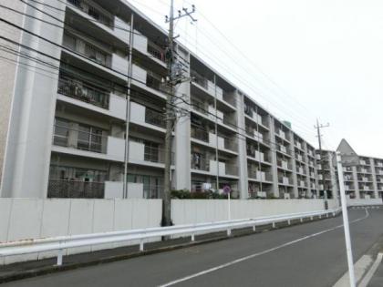 三ツ境グリーンハイム1号棟の画像1枚目（外観、エントランス、前面の通り等）