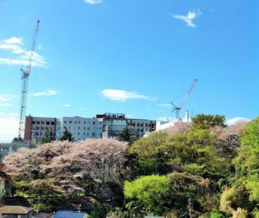 日吉西パークホームズ弐番館　春