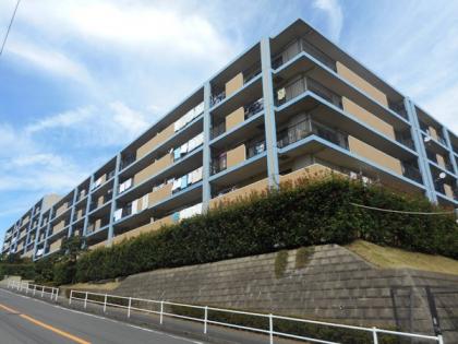 エル・パティオの画像1枚目（外観、エントランス、前面の通り等）