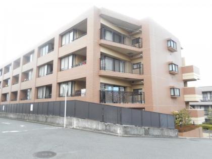 グランパレス白根の画像1枚目（外観、エントランス、前面の通り等）