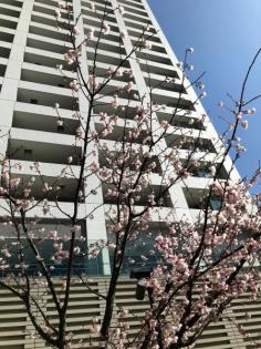 ルサンク大崎ウィズタワー　マンション全景