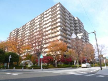 ステージ星川の画像1枚目（外観、エントランス、前面の通り等）