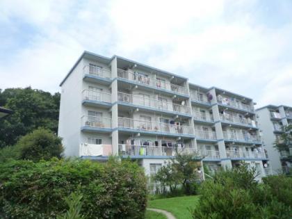 和泉町団地８号棟の画像1枚目（外観、エントランス、前面の通り等）