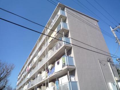 下瀬谷団地の画像1枚目（外観、エントランス、前面の通り等）