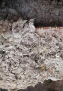 フリージャーマンション　鉄骨耐火被覆材はアスベスト