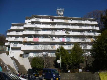 ニックハイム星川の画像1枚目（外観、エントランス、前面の通り等）