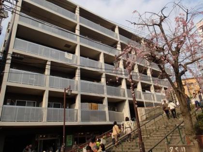 セ・アベーレ谷中銀座イースト　セアベーレ谷中銀座イースト