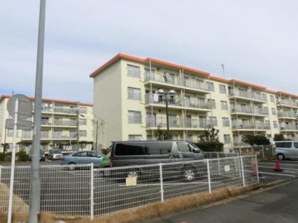 阿久和団地３号棟の画像1枚目（外観、エントランス、前面の通り等）