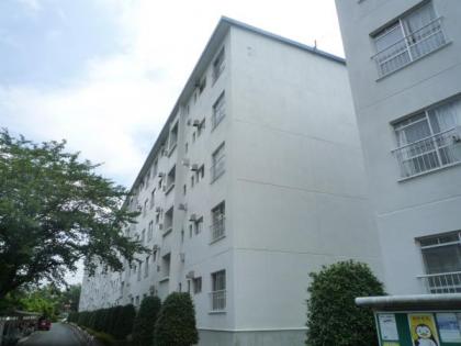 和泉町団地７号棟の画像1枚目（外観、エントランス、前面の通り等）