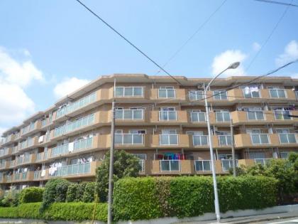 グリーンハイムいずみ野４１号棟の画像1枚目（外観、エントランス、前面の通り等）