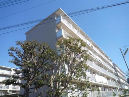 下瀬谷団地８号棟の画像1枚目（外観、エントランス、前面の通り等）