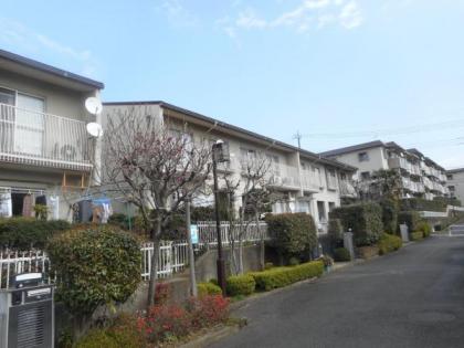 サニーヒル今宿７号棟の画像1枚目（外観、エントランス、前面の通り等）