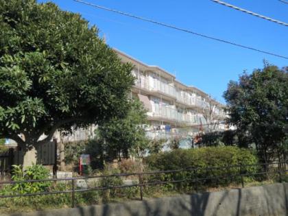 希望ヶ丘グリーンハイツ１号棟の画像1枚目（外観、エントランス、前面の通り等）