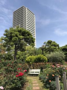 プラウドタワー木場公園の画像1枚目（外観、エントランス、前面の通り等）