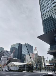 パークコート文京小石川ザタワー　外観